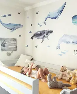 Samolepky na zeď Dětské samolepky na zeď - Samolepicí tapeta s velrybami a jménem