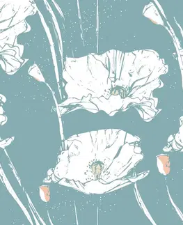 Tapety květiny Tapeta půvabné máky s tyrkysovým pozadím