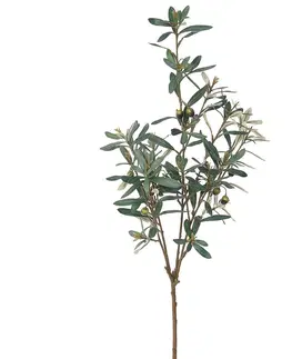 Květiny Umělá větev Olivovníku zelená, 81 cm