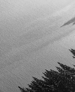Černobílé obrazy Obraz chaloupka v zasněžené přírodě v černobílém provedení
