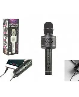 Dřevěné hračky Teddies Mikrofon karaoke Bluetooth, černá, na baterie, s USB kabelem