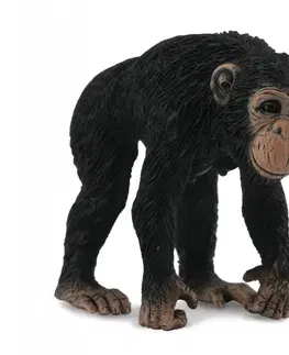 Hračky Collecte - Šimpanz - samice