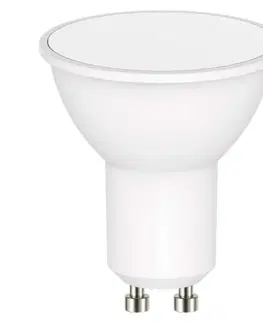 LED žárovky EMOS LED žárovka Classic MR16 4,5W GU10 studená bílá 1525730100