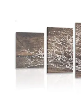 Obrazy stromy a listy 5-dílný obraz koruna stromu na dřevěném podkladu