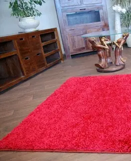 Koberce a koberečky Dywany Lusczow Kusový koberec SHAGGY Izebelie 5cm bordó, velikost 100x150