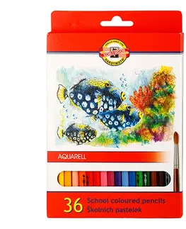 Hračky KOH-I-NOOR - Pastelky akvarel 36ks