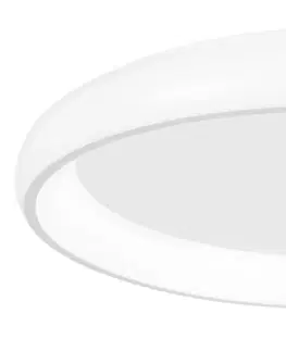 LED stropní svítidla Nova Luce Stmívatelné nízké LED svítidlo Albi v různých variantách - pr. 410 x 85 mm, 32 W, bílá NV 8105605