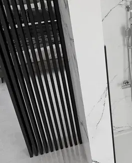 Sprchové kouty REA Skládací sprchové dveře Molier 100 černé bez profilu REA-K6963