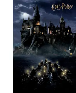 Tapety Dětská fototapeta Harry Potter Hogwarts Night 182 x 252 cm, 4 díly