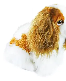 Plyšáci Rappa Plyšový pes King Charles španěl, 25 cm