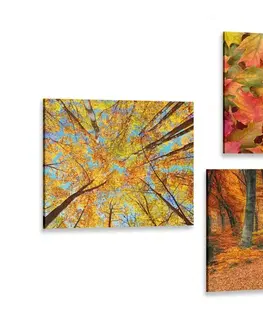 Sestavy obrazů Set obrazů příroda v podzimních barvách
