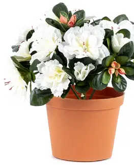 Květiny Umělá květina Azalka v květináči bílá, 21 x 10 x 10 cm