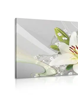 Obrazy květů Obraz bílá lilie na zajímavém pozadí