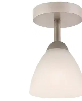 Svítidla  Přisazený lustr ADRIANO 1xE27/60W/230V - FSC certifikováno 