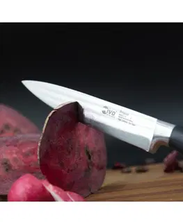 Kuchyňské nože Univerzální nůž IVO Premier 13 cm 90022.13
