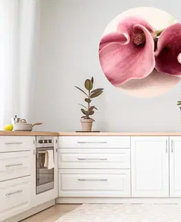Samolepky na zeď Samolepky na zeď do kuchyně - Květ v růžové barvě