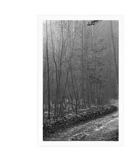 Černobílé Plakát cestička do lesa