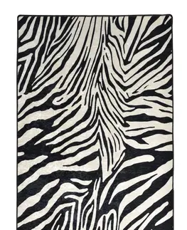 Koberce a koberečky Conceptum Hypnose Koberec Zebra 160x230 cm bílý/černý