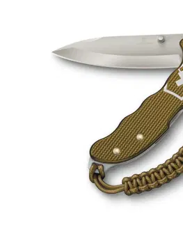 Nože Victorinox Evoke Alox Limited Edition 2023