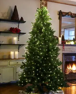 Umělý vánoční stromek Sirius LED stromek Anni se stojanem, výška 180 cm