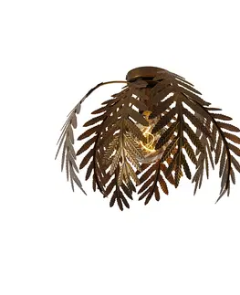 Stropni svitidla Vintage stropní lampa zlatá 34 cm - Botanica