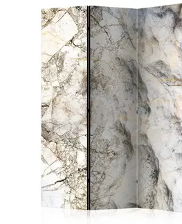 Paravány Paraván Marble Mystery Dekorhome 135x172 cm (3-dílný)