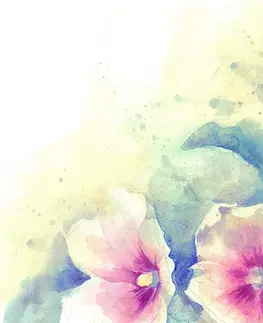 Tapety květiny Tapeta akvarelová ilustrace květin