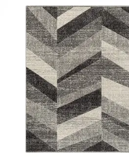Koberce a koberečky Dywany Lusczow Kusový koberec FEEL Fish šedý, velikost 80x150