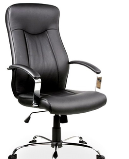 Kancelářské židle Kancelářské křeslo NAMAQUANUM, černá ekokůže 