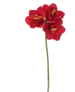 Květiny Umělá Amarylis tmavě červená, 54 cm