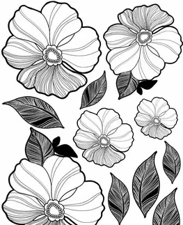 Nálepky Dekorační nálepky na stěnu elegantní černobílé květiny