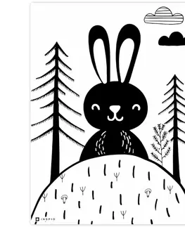 Obrazy do dětského pokoje Obraz na zeď - černobílý zajko v lese