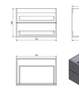 Koupelnový nábytek SAPHO TREOS skříňka zásuvková 75x53x50,5cm, dub Collingwood TS075-1919