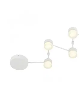 Svítidla Trio Trio - LED Stmívatelné stropní svítidlo NASHVILLE 5xLED/3W/230V 