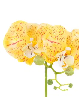 Květiny AmeliaHome Umělá květina ORCHI žlutá