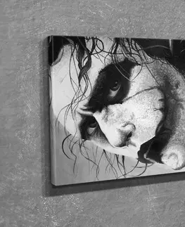 Obrazy Wallity Obraz JOKER 30x40 cm šedý