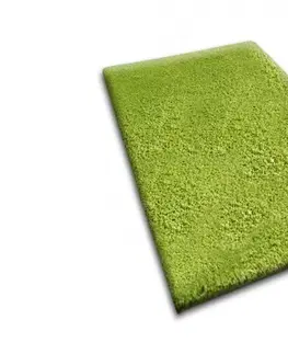 Koberce a koberečky Dywany Lusczow Kusový koberec SHAGGY Izebelie 5cm zelený, velikost 60x100
