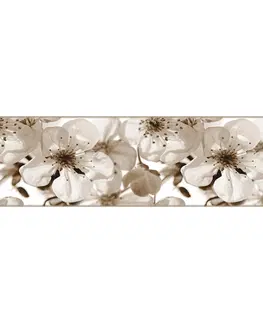 Tapety AG Art Samolepicí bordura Jabloňový květ, 500 x 14 cm