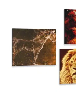 Sestavy obrazů Set obrazů abstraktní zvířata