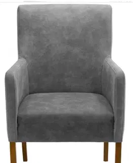 Židle Kasvo BR Z116 židle Světlana olše (L) / látka imitace kůže 505