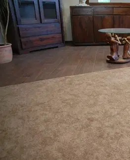 Koberce a koberečky Dywany Lusczow Kusový koberec SERENADE Hagy světle hnědý, velikost 500x600