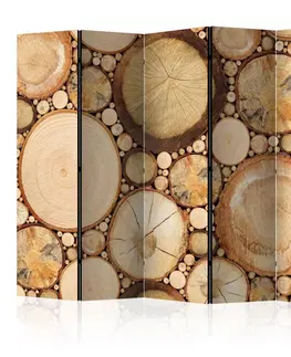 Paravány Paraván Wood grains Dekorhome 225x172 cm (5-dílný)