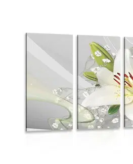Obrazy květů 5-dílný obraz bílá lilie na zajímavém pozadí