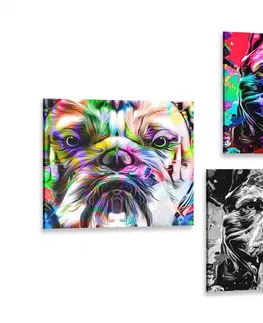 Sestavy obrazů Set obrazů psy v pop art provedení