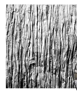 Koberce a koberečky Tutumi Koberec Nature 4D Grey Rock, velikost 160x230