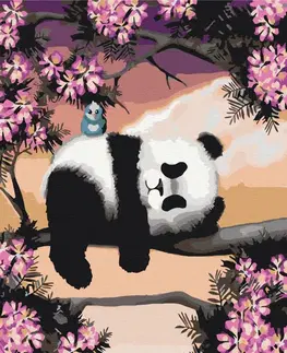 Zvířata Malování podle čísel ospalá panda