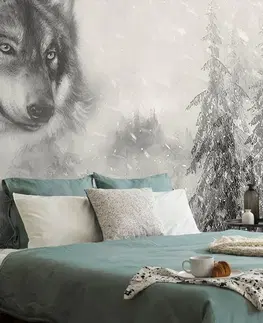 Samolepící tapety Samolepící tapeta černobílý vlk v zasněžené krajině