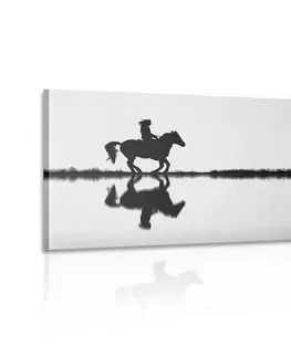 Černobílé obrazy Obraz jezdec na koni v černobílém provedení