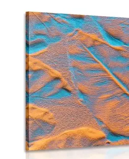 Obrazy přírody a krajiny Obraz textura listů na písečné pláži