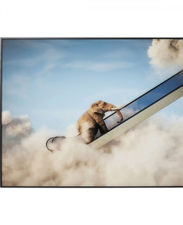 Zarámované obrazy KARE Design Zarámovaný obraz Elephant In The Sky 150x100cm